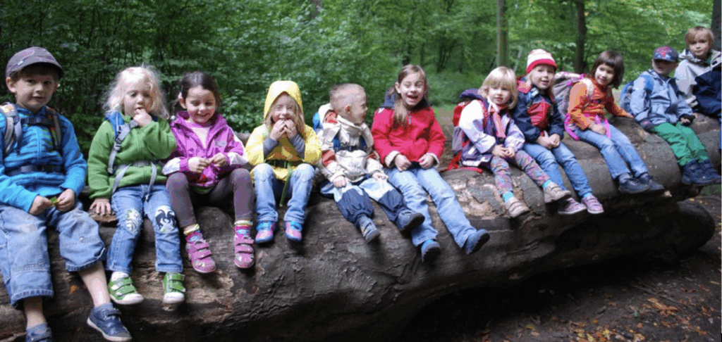 Rabenkinder im Wald